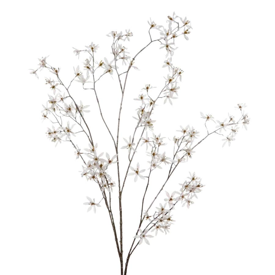 Blossom Flowers STEM WH/CHAMP - GoodWill