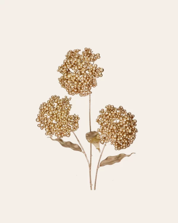 Metall Berry Clusters STEM GLD
