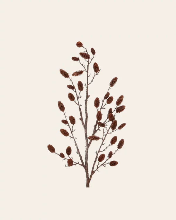 Display Pinecone BRWN