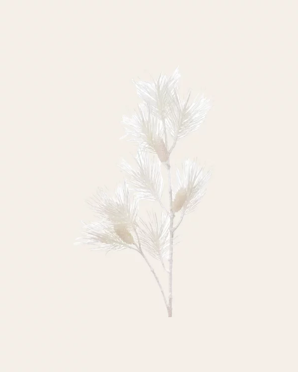 Needle Pine STEM WH