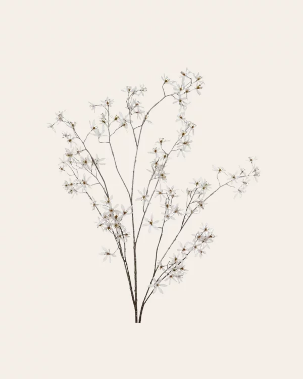 Blossom Flowers STEM WH/CHAMP