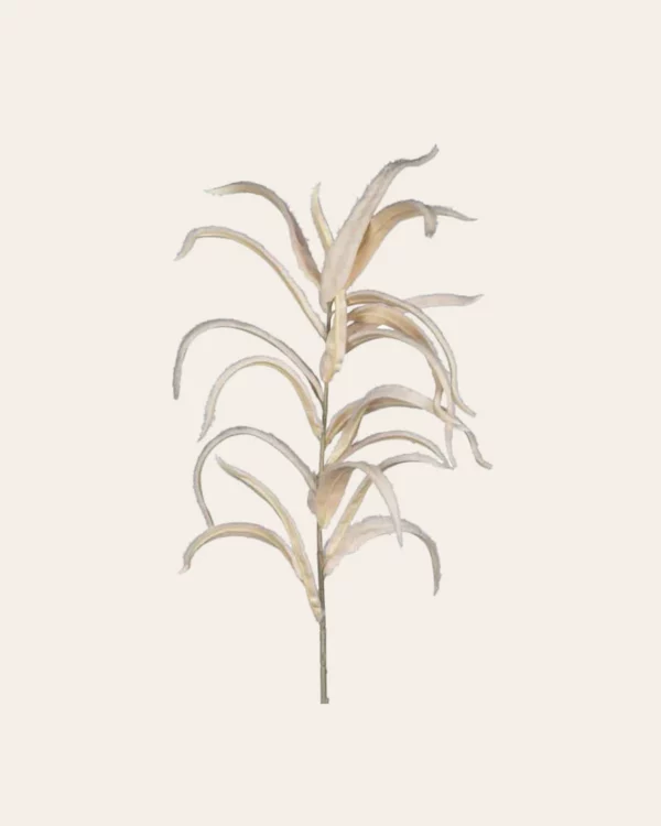 Long eucalyptus leaf WH