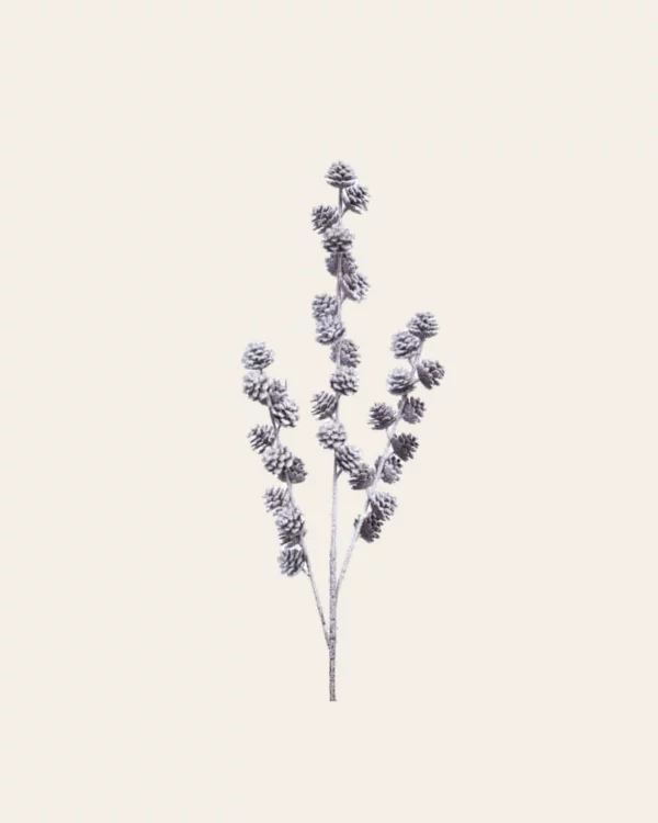 Snow pinecone stem BRWN/ WH