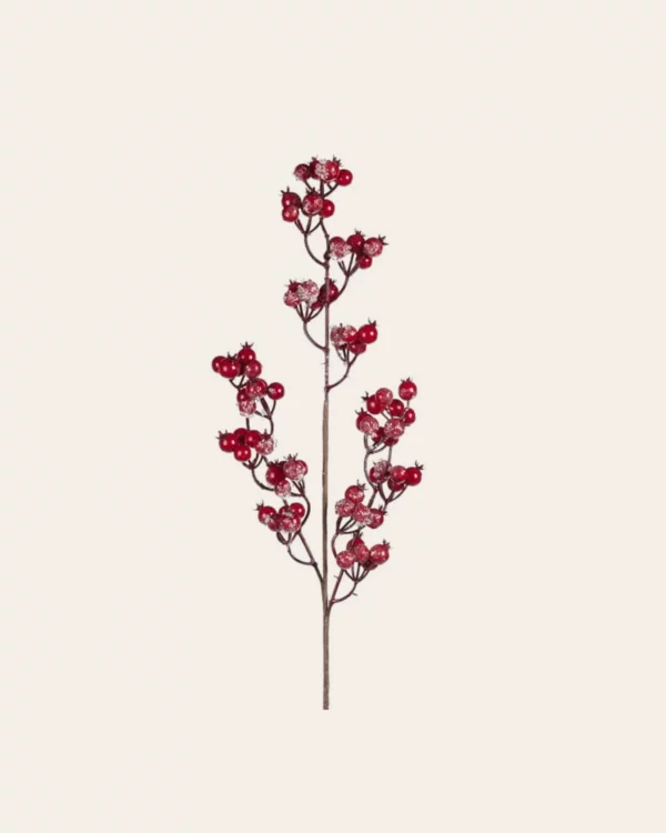 Snow berry stem RD