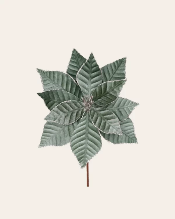 Poinsettia flower GRN