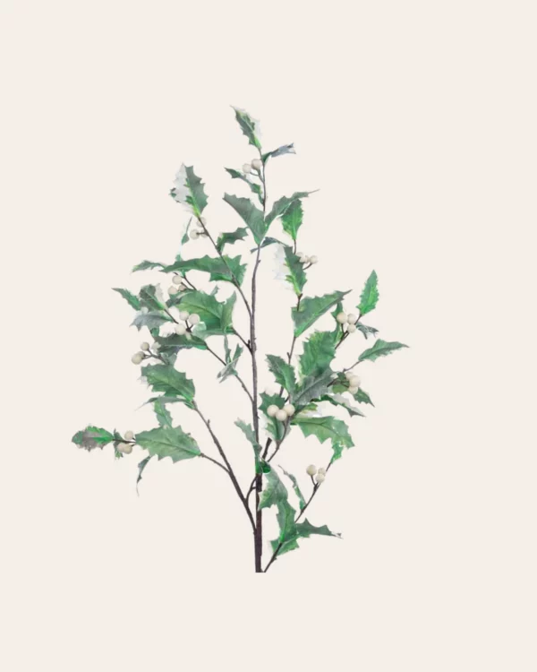 Leaf berry stem GRN