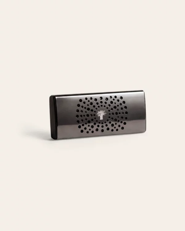 Car diffuser