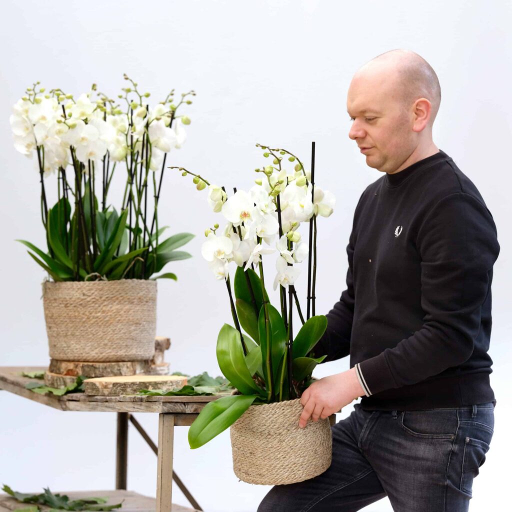 Wesly schikt orchideeën in de winkel